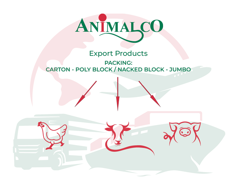 Image showing transport options around the world